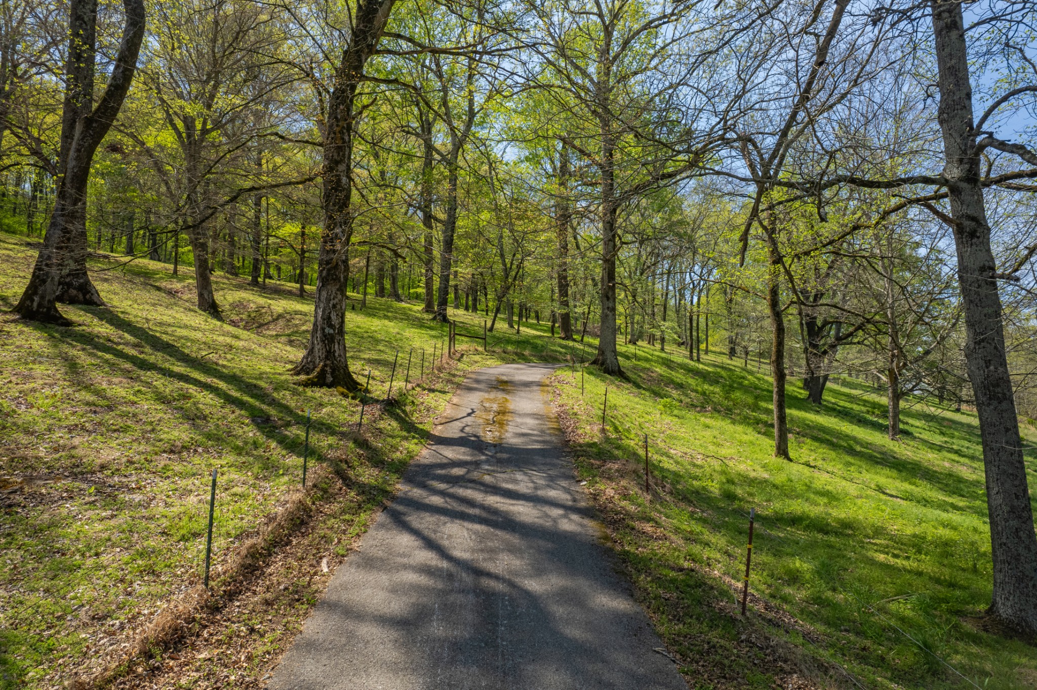 8039 Campbellsville Road Pulaski, TN 38478 - Photo 75 of 100