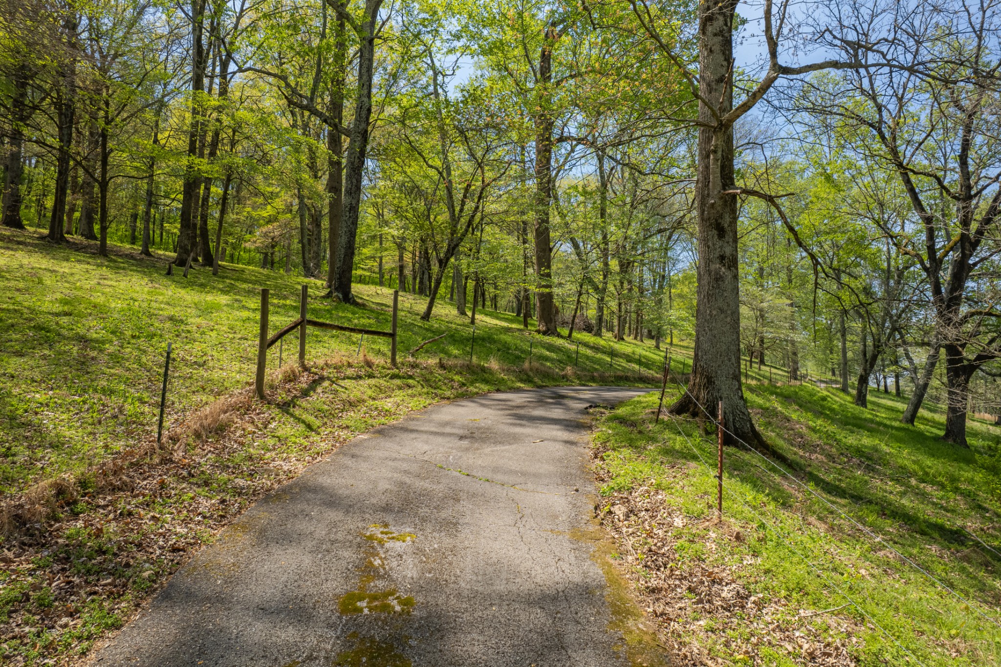 8039 Campbellsville Road Pulaski, TN 38478 - Photo 76 of 100