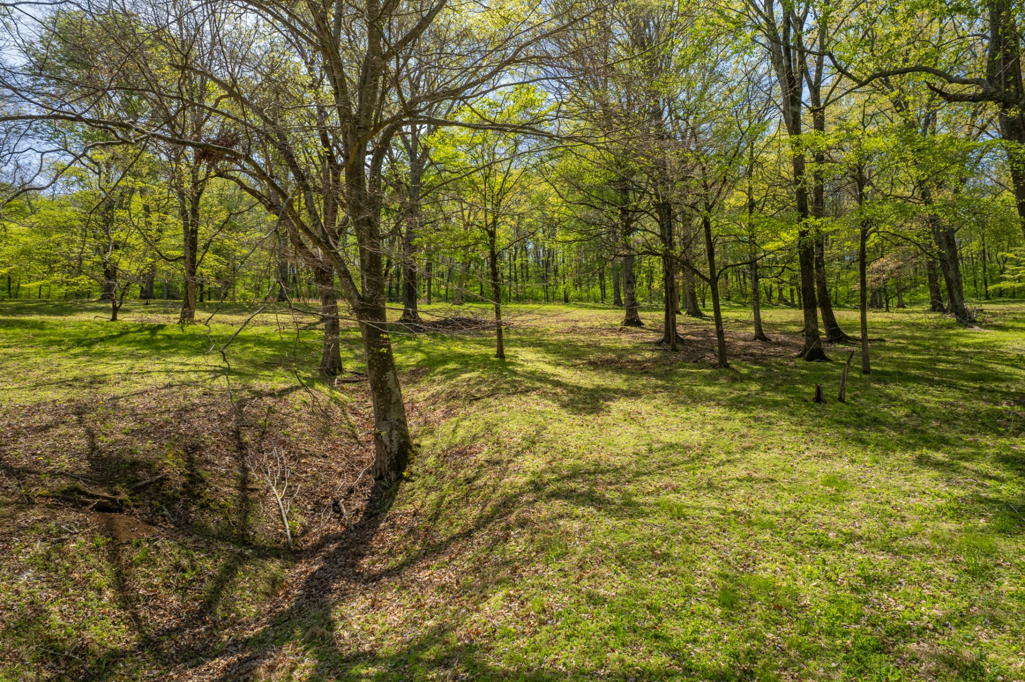 8039 Campbellsville Road Pulaski, TN 38478 - Photo 77 of 100