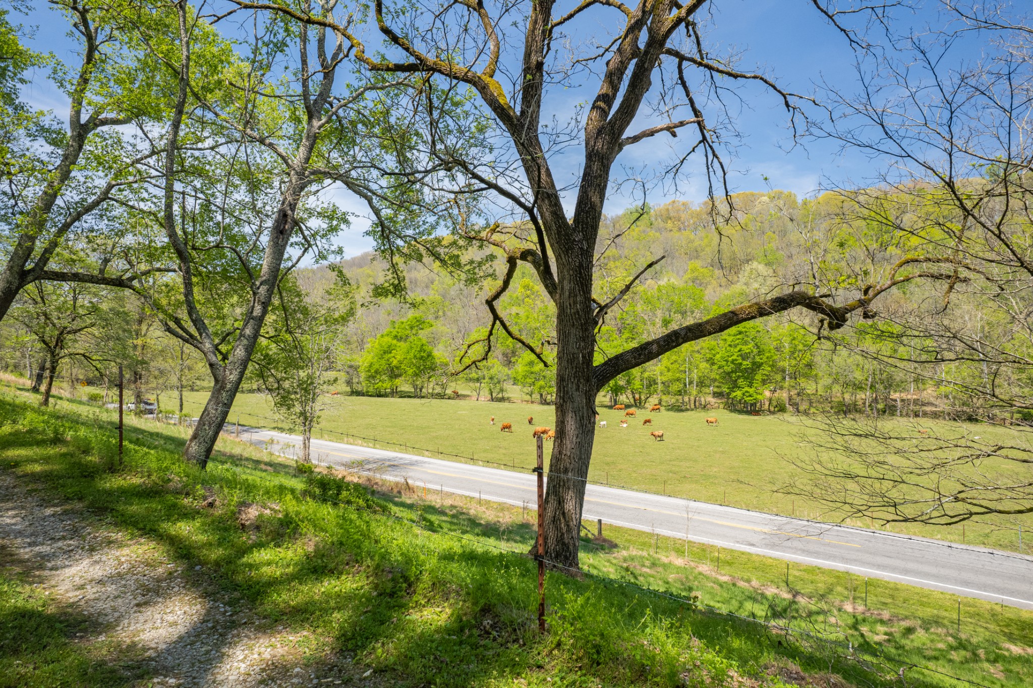 8039 Campbellsville Road Pulaski, TN 38478 - Photo 80 of 100