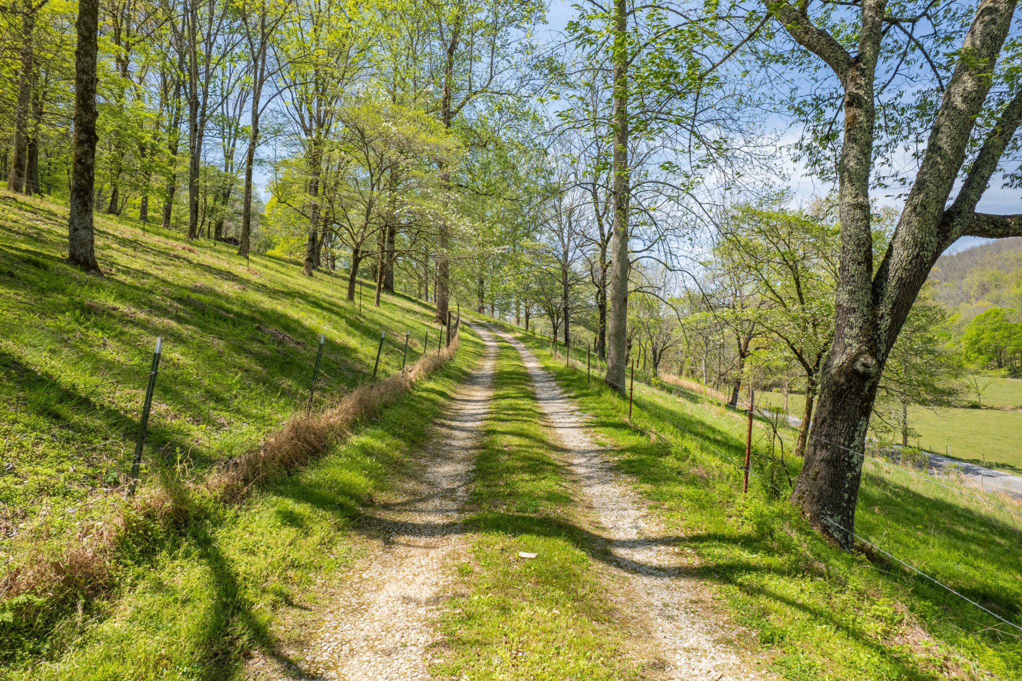 8039 Campbellsville Road Pulaski, TN 38478 - Photo 81 of 100