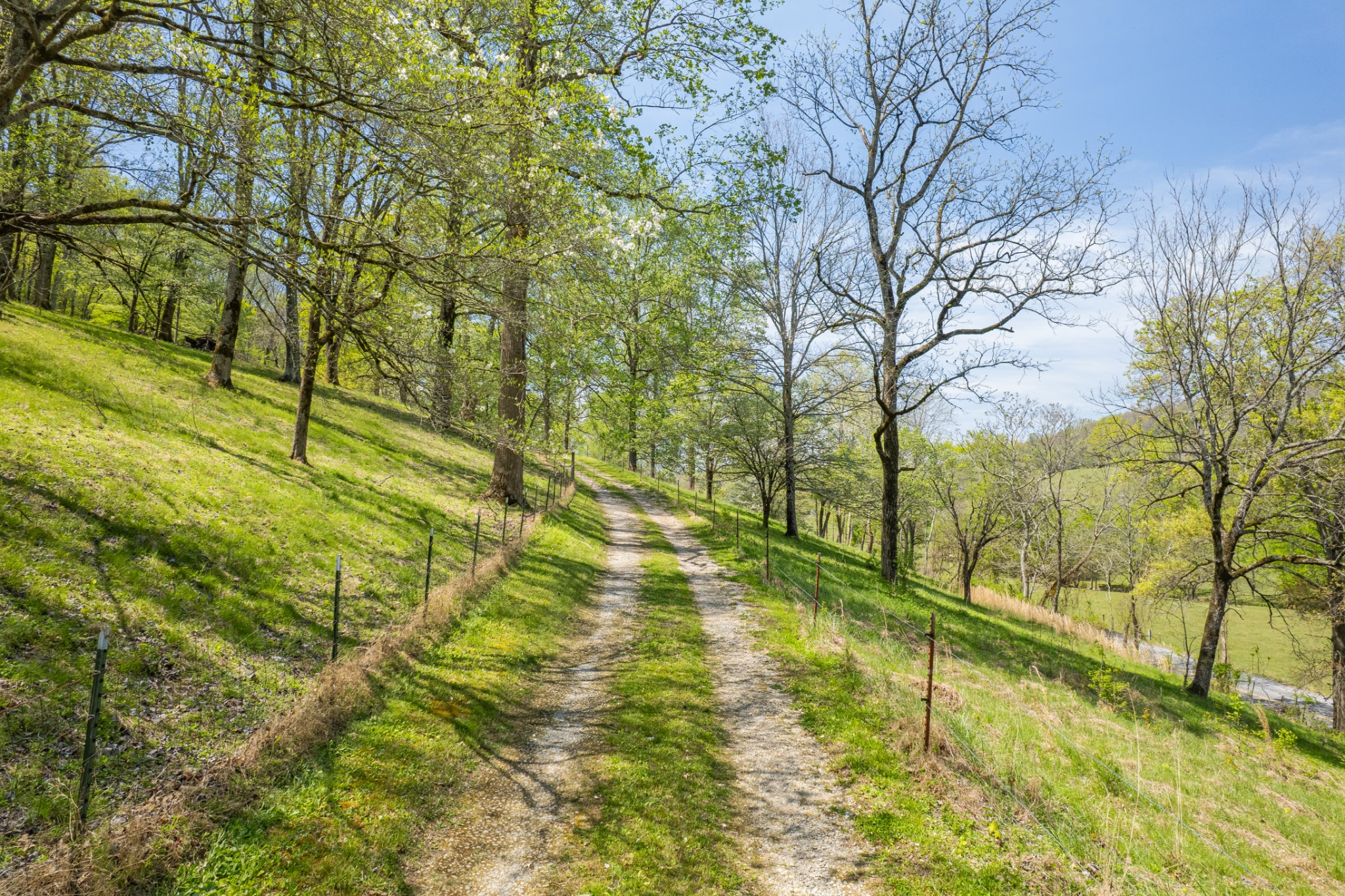 8039 Campbellsville Road Pulaski, TN 38478 - Photo 83 of 100