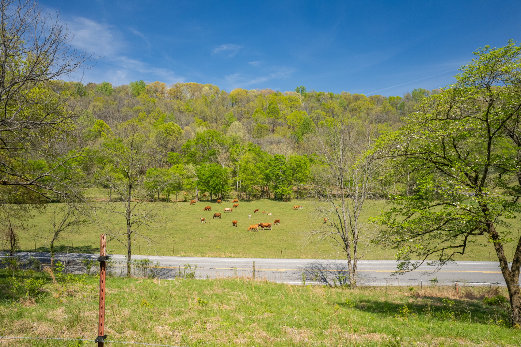 8039 Campbellsville Road Pulaski, TN 38478 - Photo 84 of 100