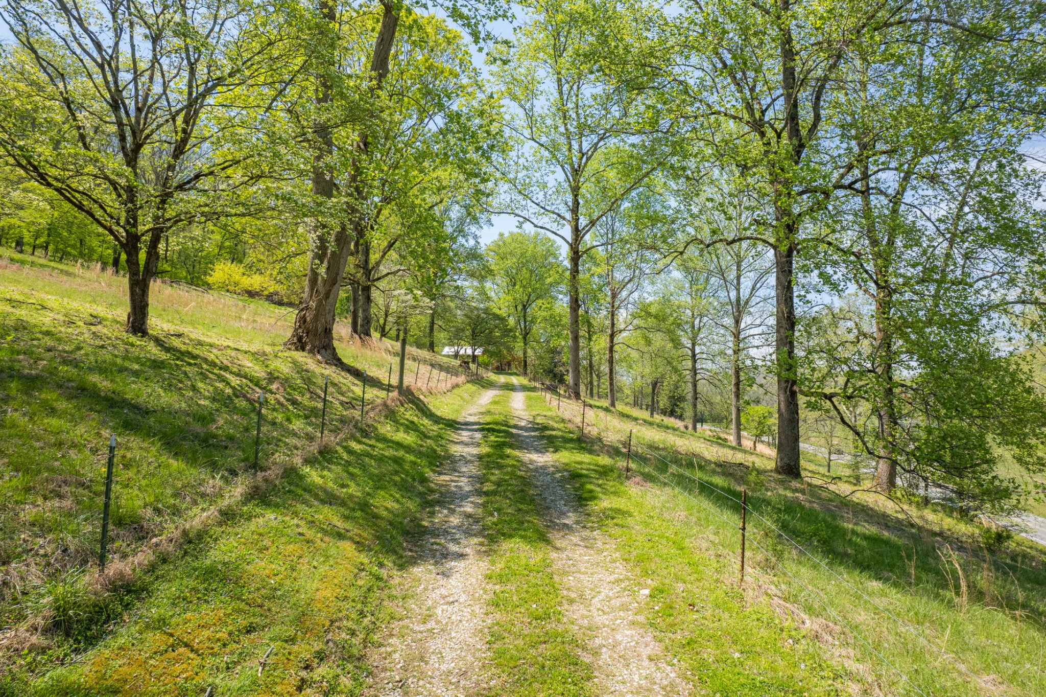 8039 Campbellsville Road Pulaski, TN 38478 - Photo 85 of 100