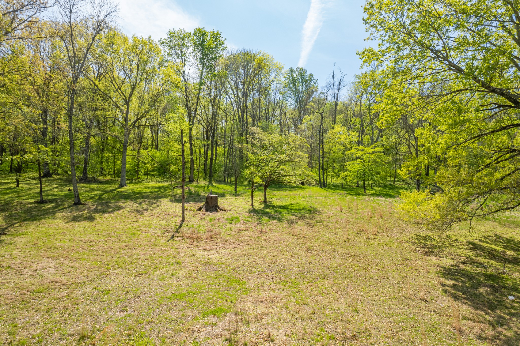 8039 Campbellsville Road Pulaski, TN 38478 - Photo 87 of 100