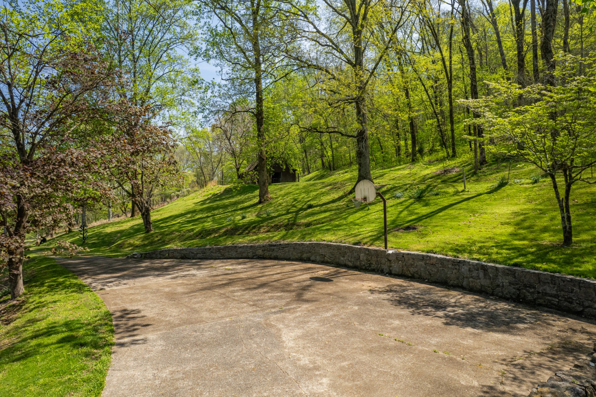 8039 Campbellsville Road Pulaski, TN 38478 - Photo 91 of 100