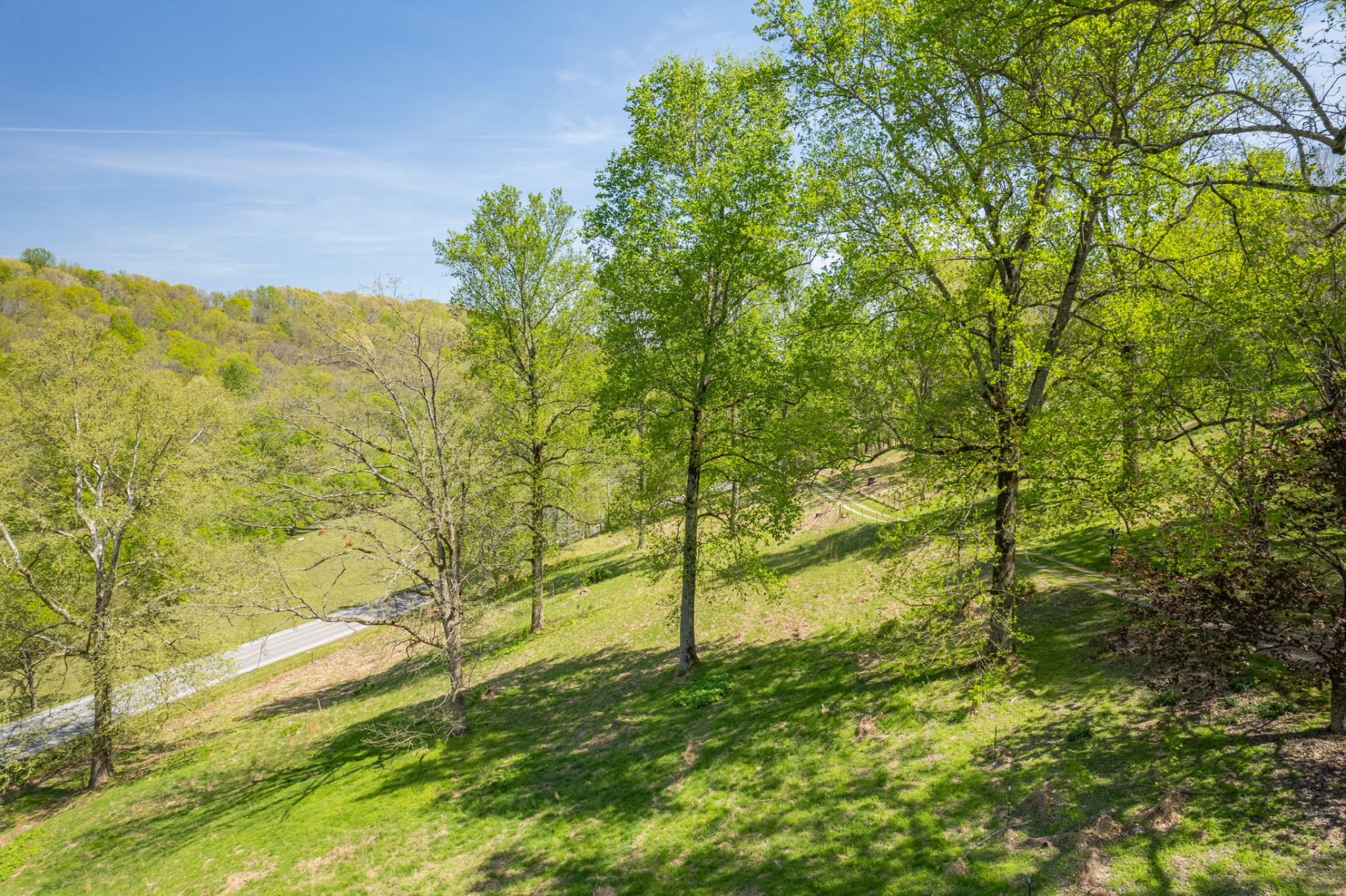 8039 Campbellsville Road Pulaski, TN 38478 - Photo 95 of 100