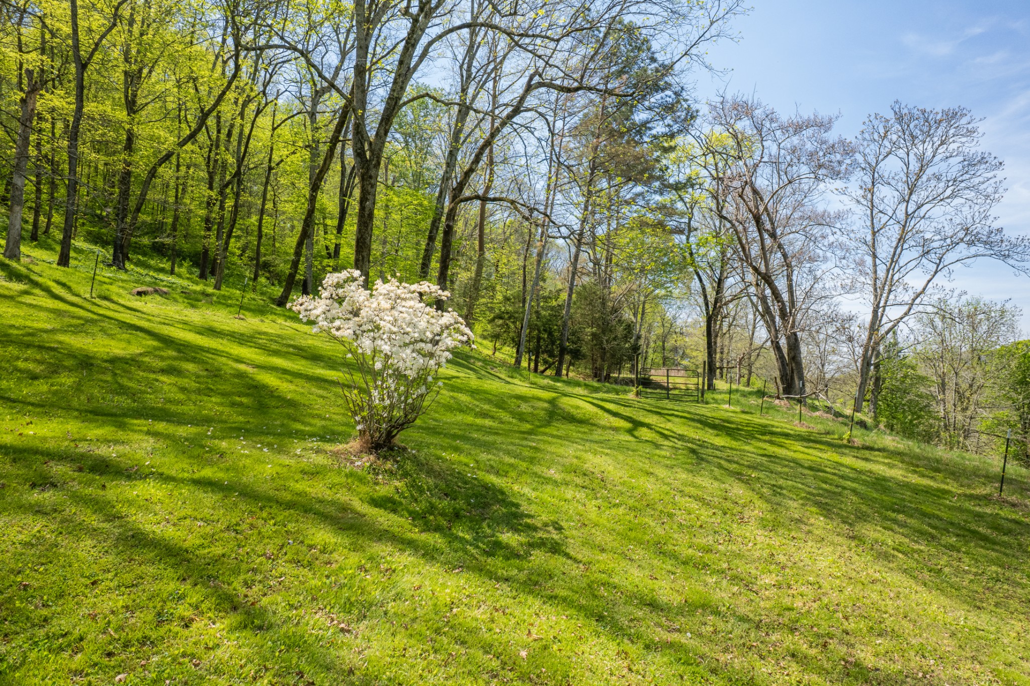 8039 Campbellsville Road Pulaski, TN 38478 - Photo 96 of 100