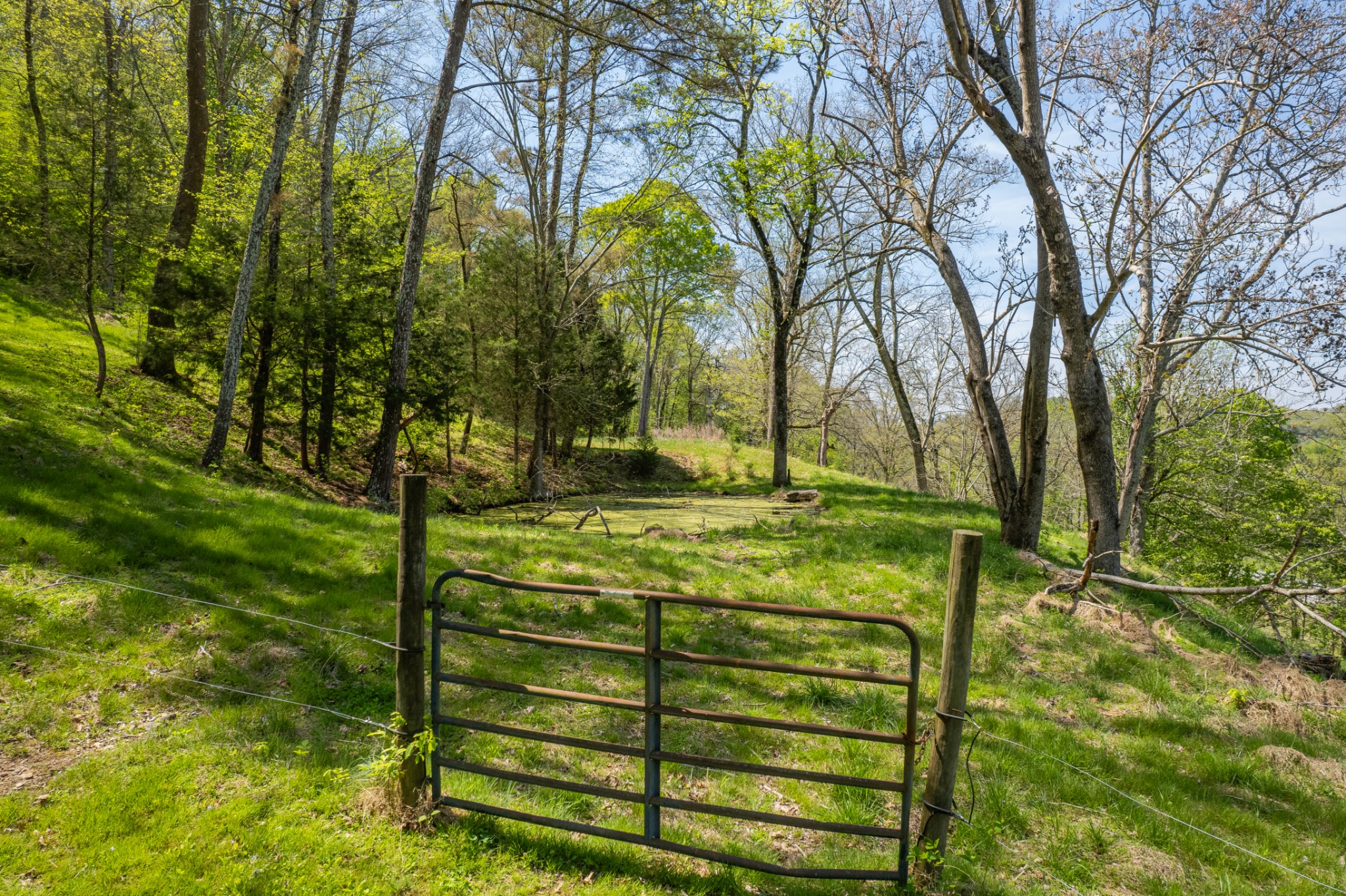 8039 Campbellsville Road Pulaski, TN 38478 - Photo 97 of 100