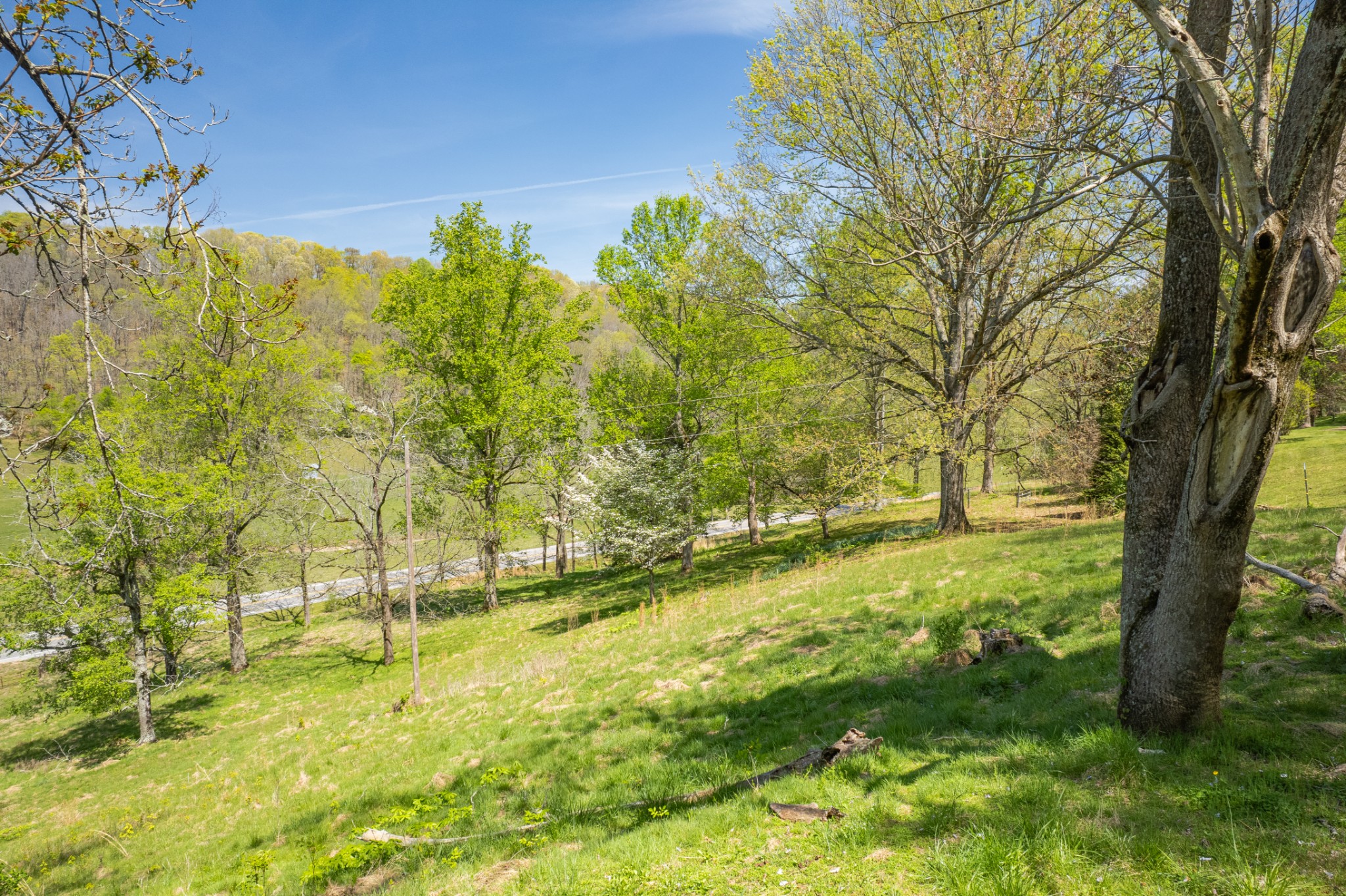 8039 Campbellsville Road Pulaski, TN 38478 - Photo 100 of 100