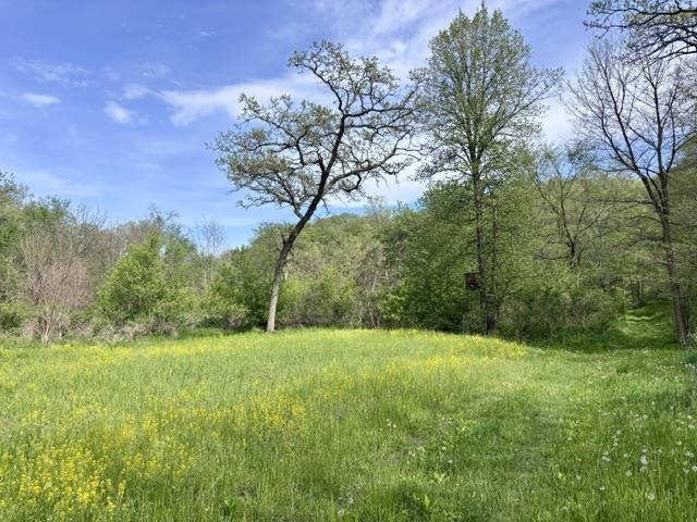 50792 Haney Valley Road Gays Mills, WI 54631 - Photo 15 of 39