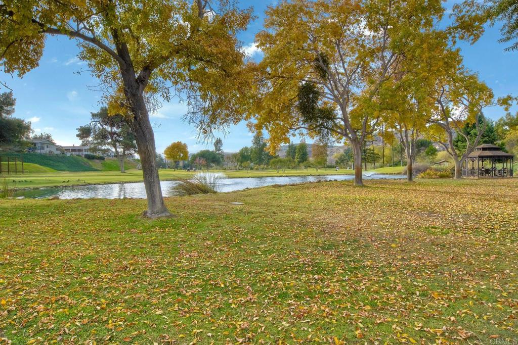 4650 Dulin Road, Unit 178 Fallbrook, CA 92003 - Photo 47 of 53 a view of a yard with an trees