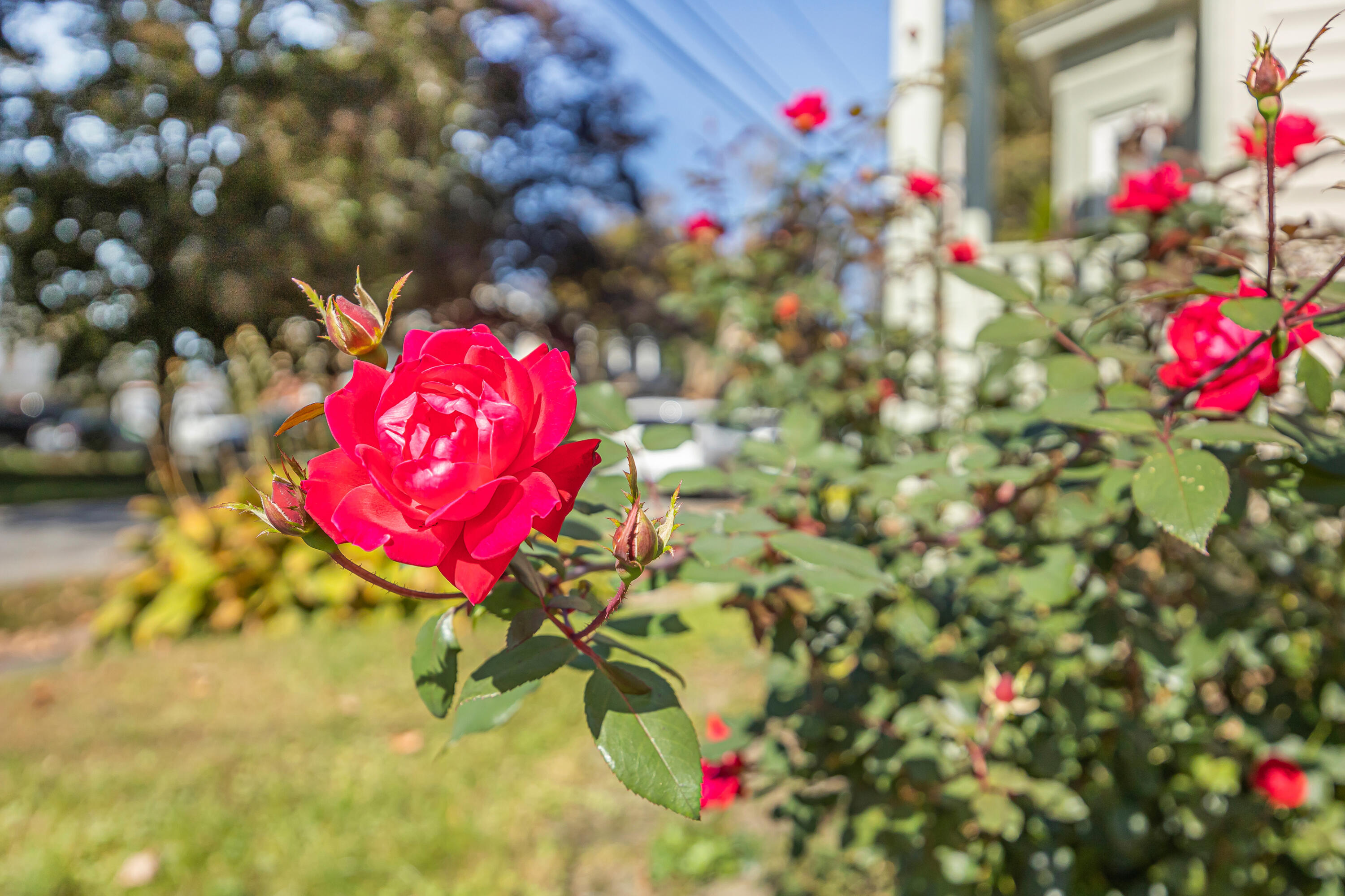 288 Fourth Street Old Town, ME 04468 - Photo 46 of 48 288 FOURTH STREET