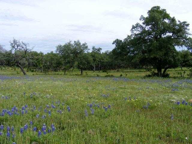 a view of outdoor space with green field and trees all around