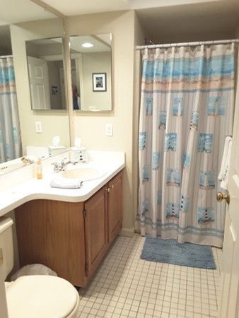 161 Stone Ridge Road, Unit 161 Franklin, MA 02038 - Photo 11 of 23 a bathroom with a sink a toilet and shower