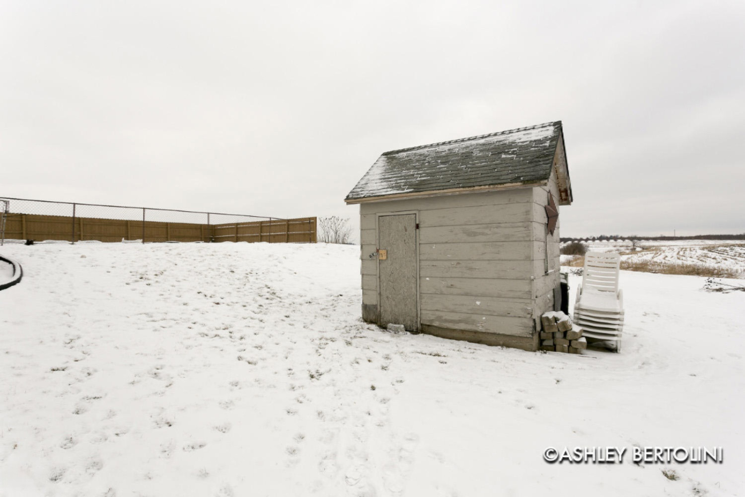 3443 9 Mile Road Northwest Sparta, MI 49345 - Photo 24 of 26 Shed