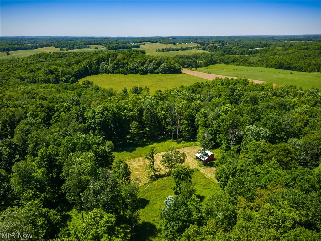 12929 Pleasant Valley Road Northeast Utica, OH 43080 - Photo 11 of 47