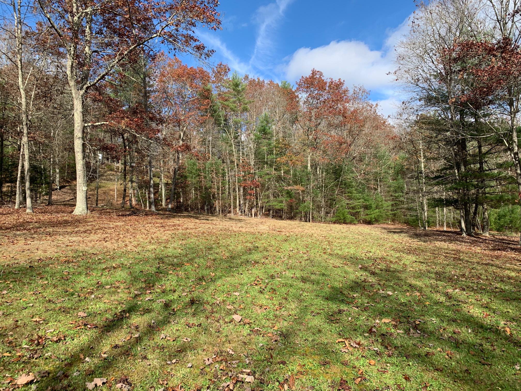 79 Deer Run Road Gap Mills, WV 24941 - Photo 41 of 70 Gallery Image 41