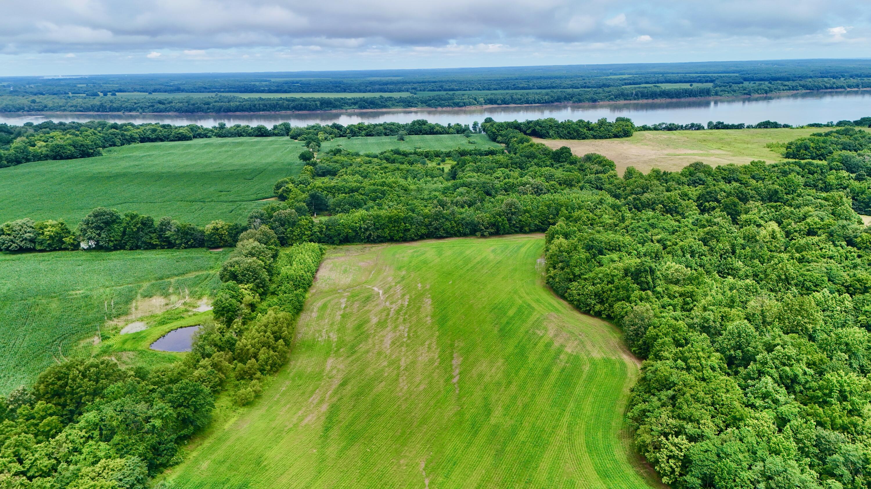 0 Gillahan Road, Unit 1B Ledbetter, KY 42058 - Photo 3 of 8 dji_fly_20260612_111836_0608_17814972807