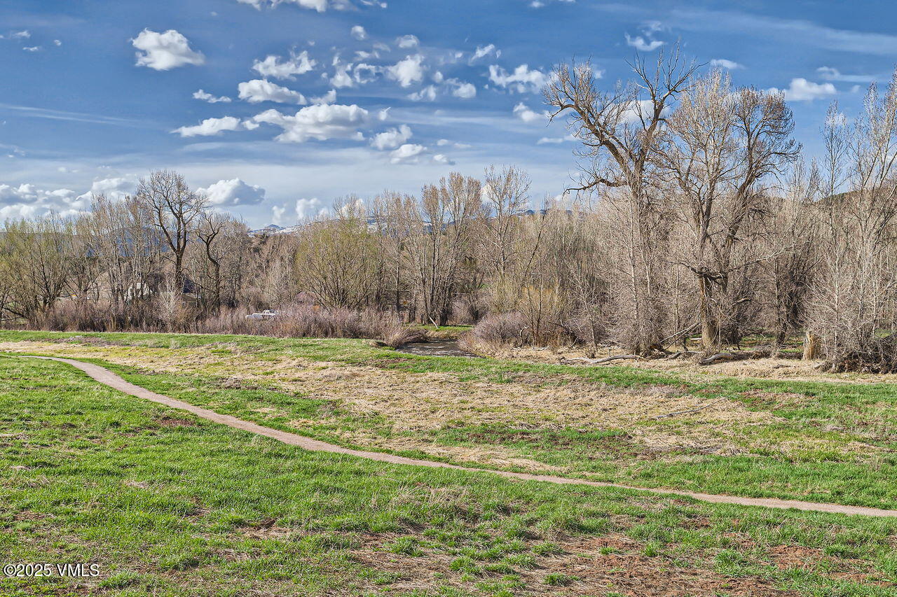 1987 Eagle Ranch Road Eagle, CO 81631 - Photo 37 of 37 a view of a yard with an trees