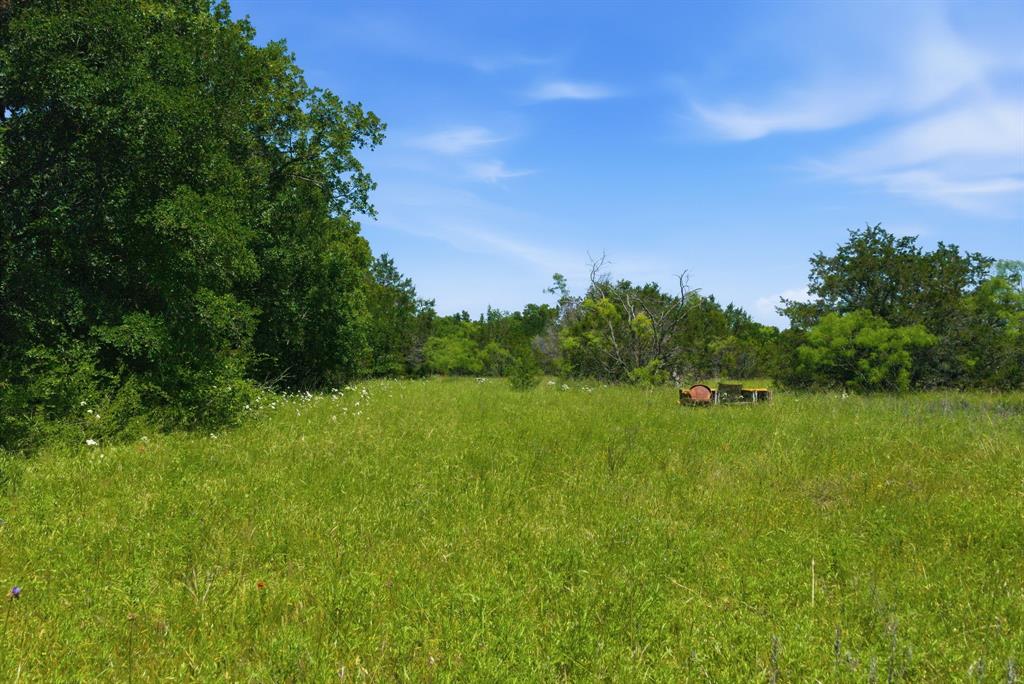 4320 Dobbs Valley Road Millsap, TX 76066 - Photo 20 of 40 a big yard with lots of green space and deers