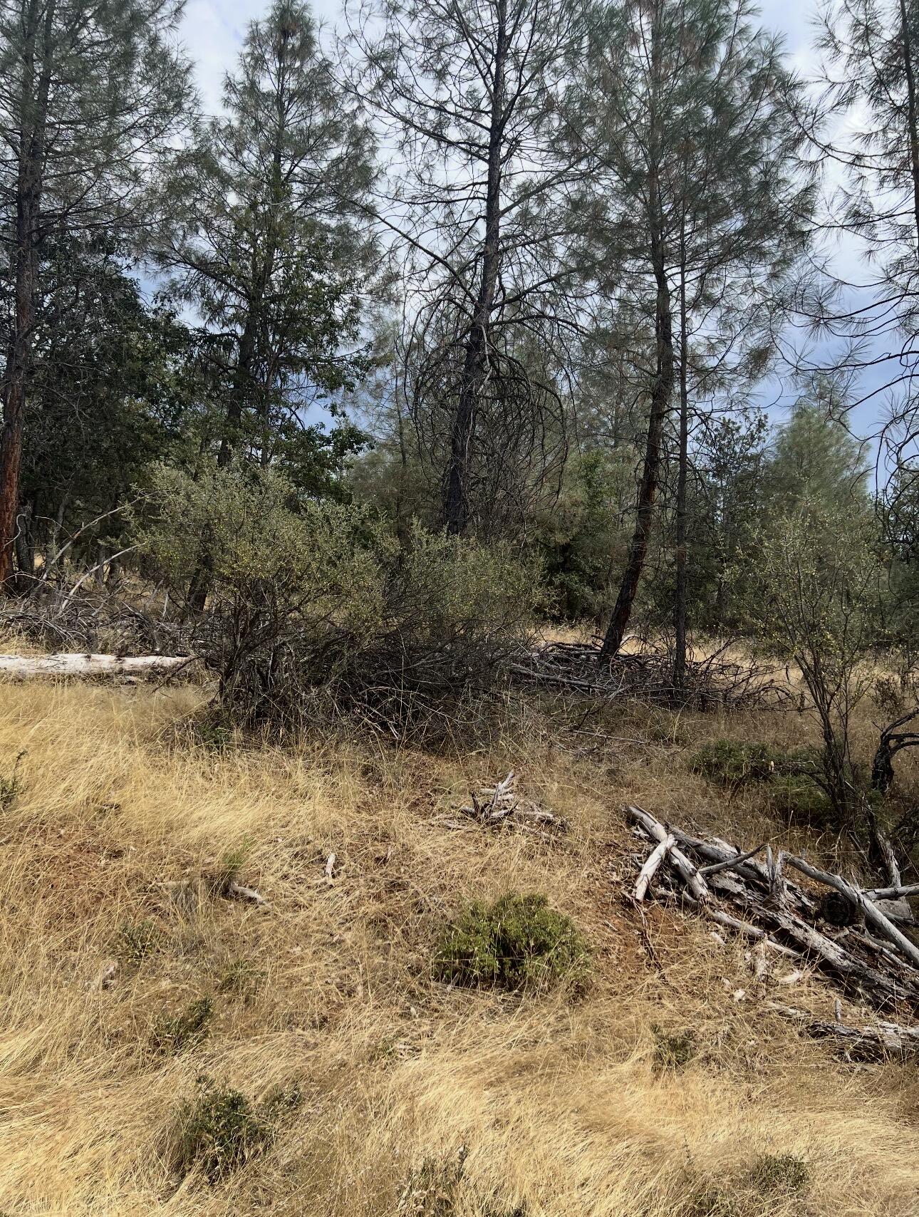 440 Ransom Road Weaverville, CA 96093 - Photo 15 of 25 Gallery Image 15