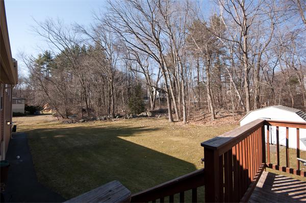 8 Michael Road Billerica, MA 01862 - Photo 10 of 10 a view of a street with a yard covered by trees