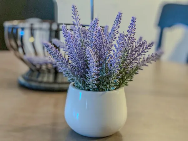 $2,700 | 111 North Ashley Street, Unit 305, Ann Arbor, MI 48104