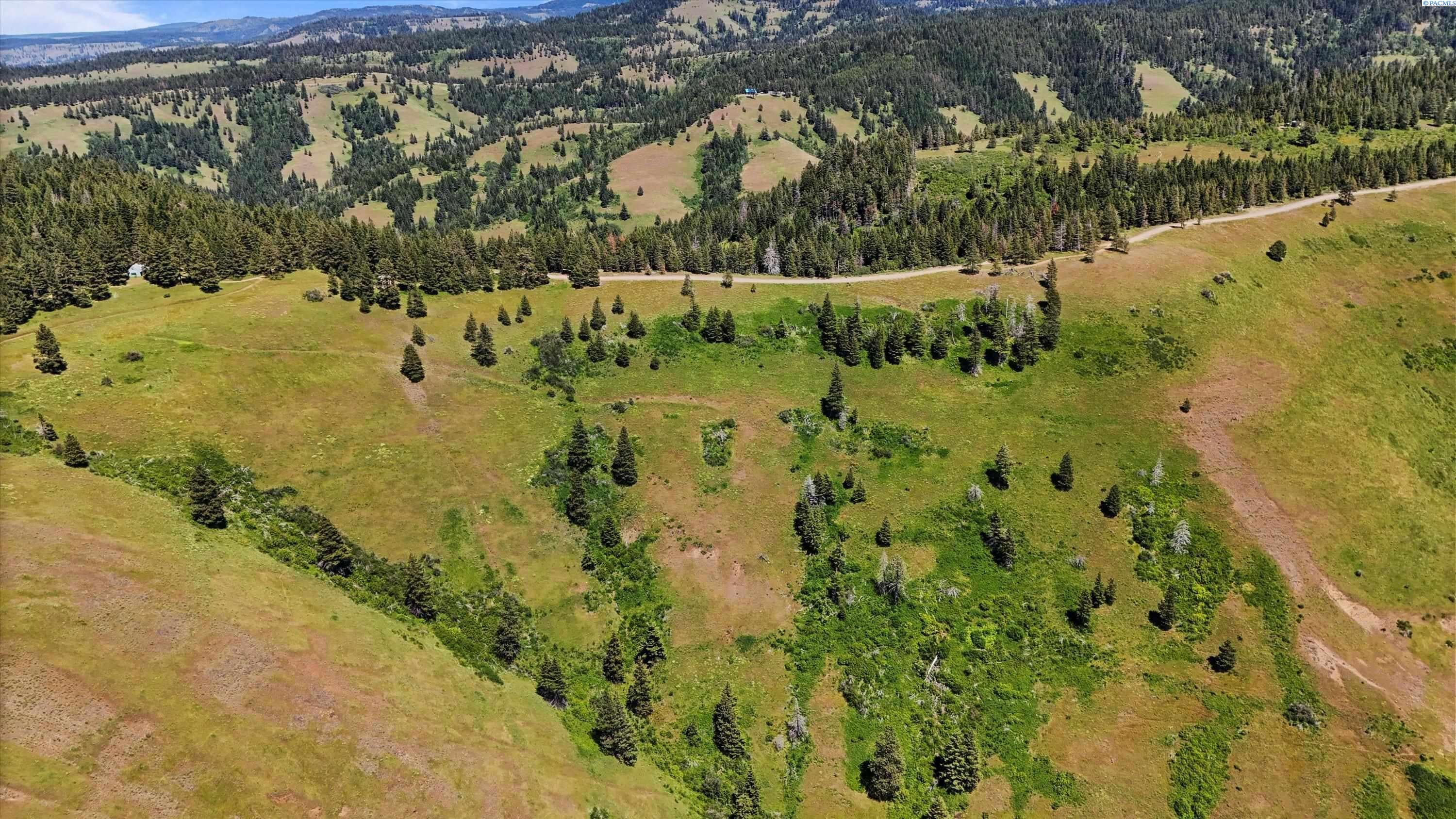 Unk10 Blacksnake Ridge Road Walla Walla, WA 99362 - Photo 14 of 48 Gallery Image 14
