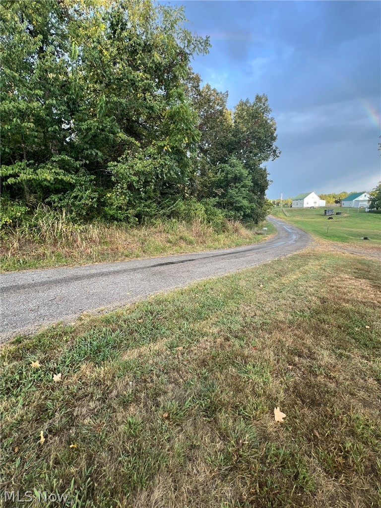 1105 Dutch Ridge Road Guysville, OH 45735 - Photo 33 of 33 Gravel driveway bordered by mature trees and a grassy verge, leading towards distant white structures