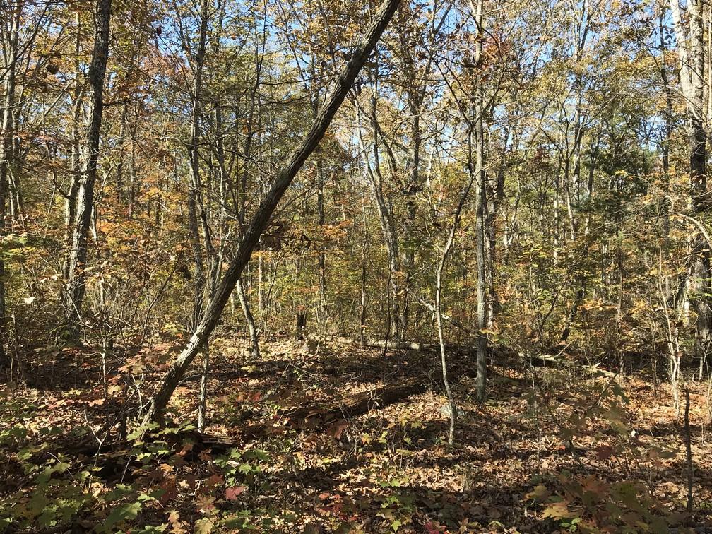 Lot 94 East Bluff Road Pikeville, TN 37367 - Photo 14 of 14 IMG_0508