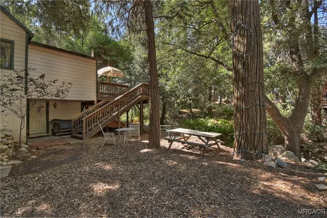a view of a forest with large trees