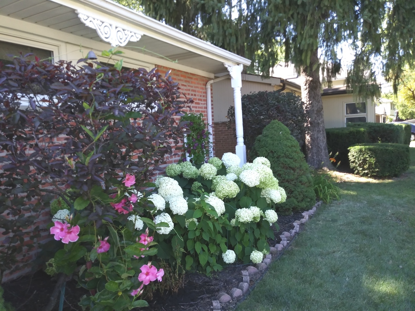 1016 Midway Road Northbrook, IL 60062 - Photo 25 of 27 a view of a flower in a yard