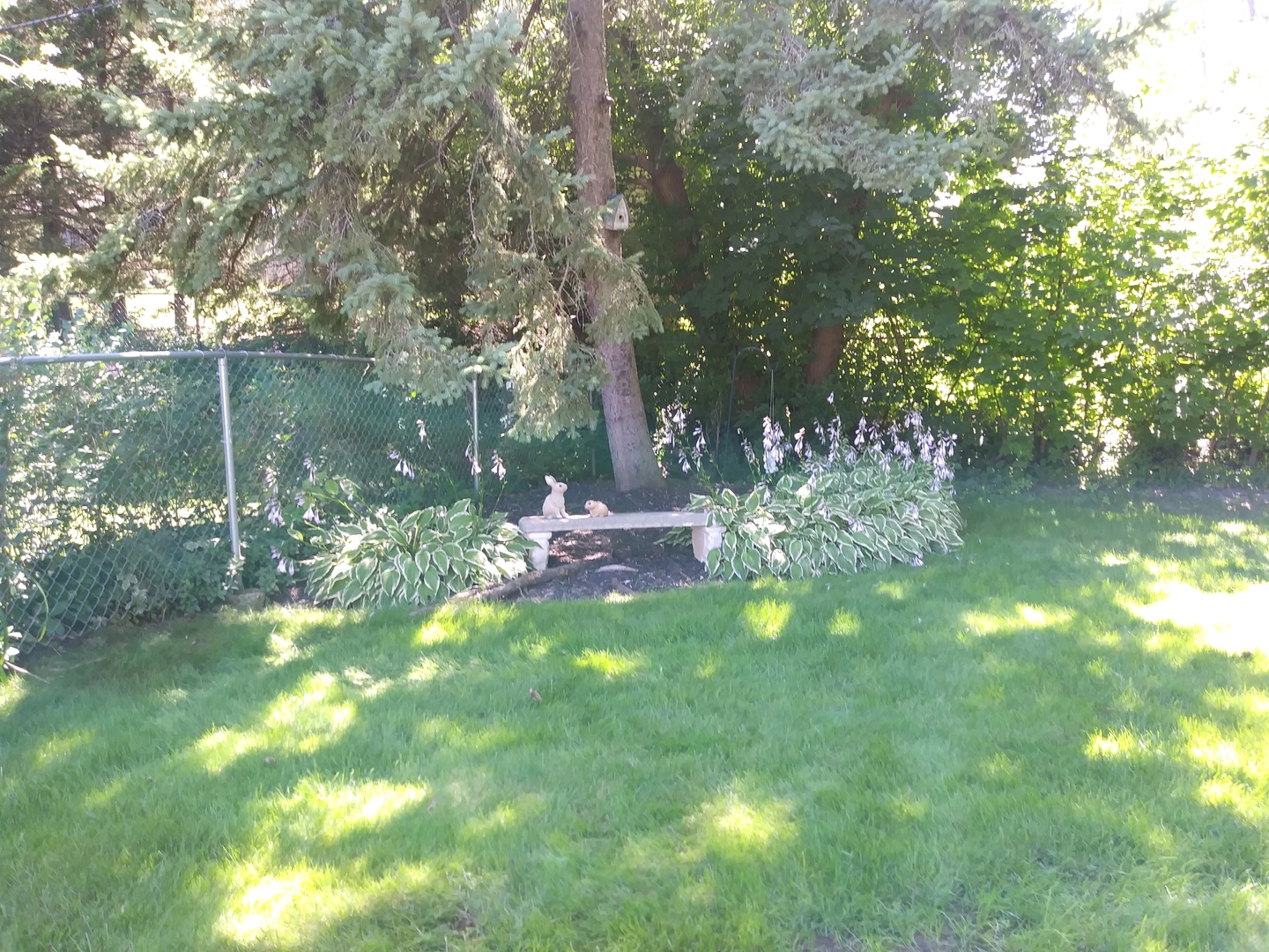 1016 Midway Road Northbrook, IL 60062 - Photo 27 of 27 a view of a lake from a yard