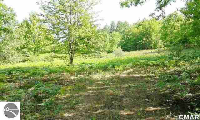 11660 West Bawkey Road Lake, MI 48632 - Photo 20 of 25 1769900-19.JPG