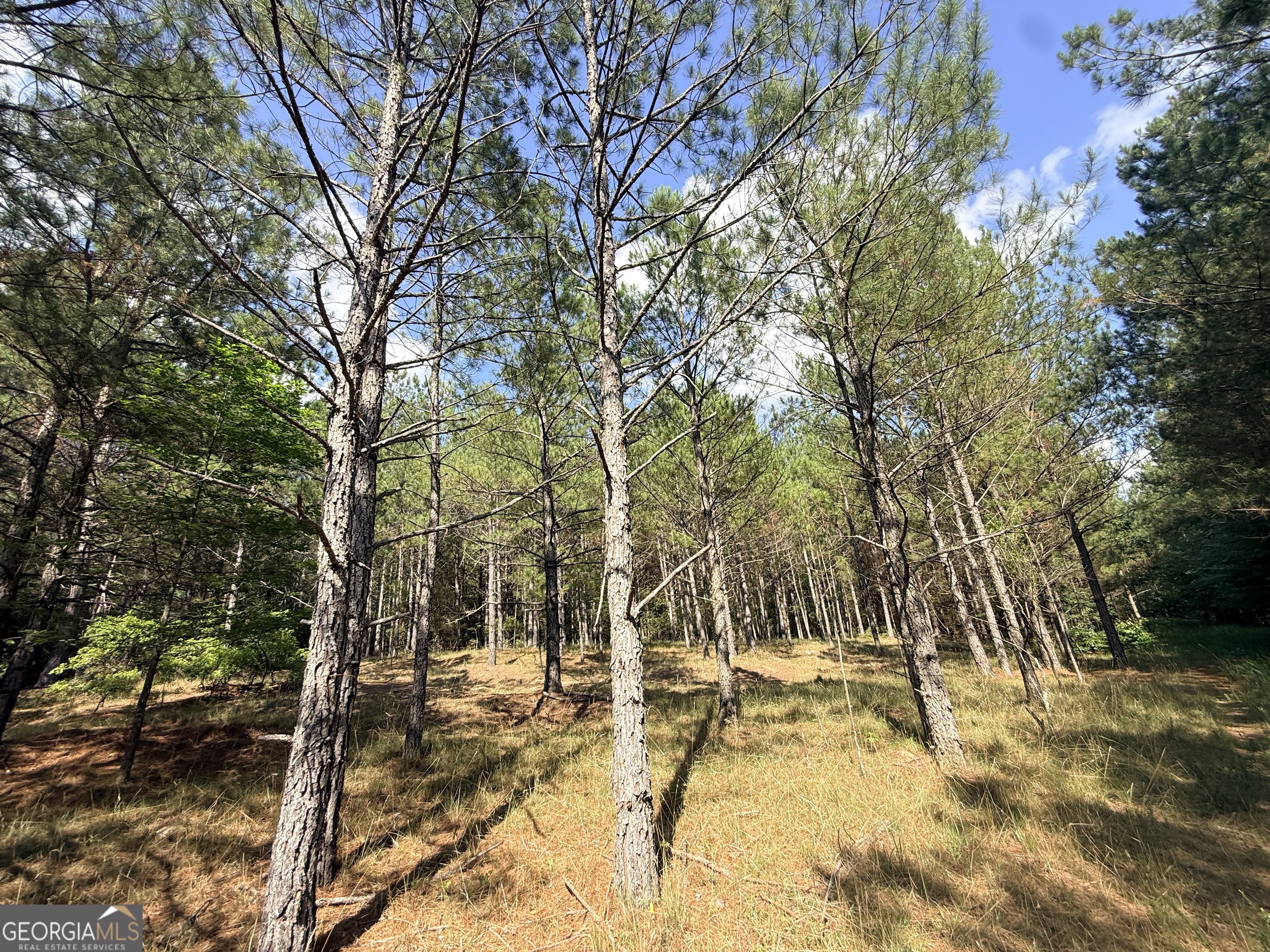 1 Bethesda Church Road Lexington, GA 30648 - Photo 63 of 78