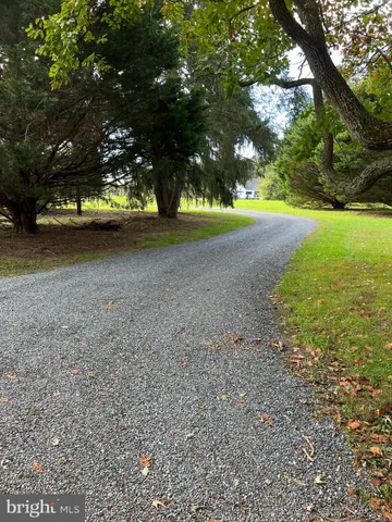 a view of a yard with large trees