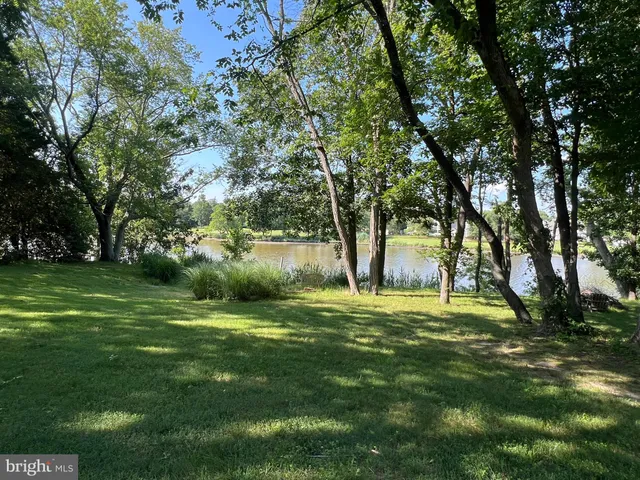 a big yard with lots of green space and trees
