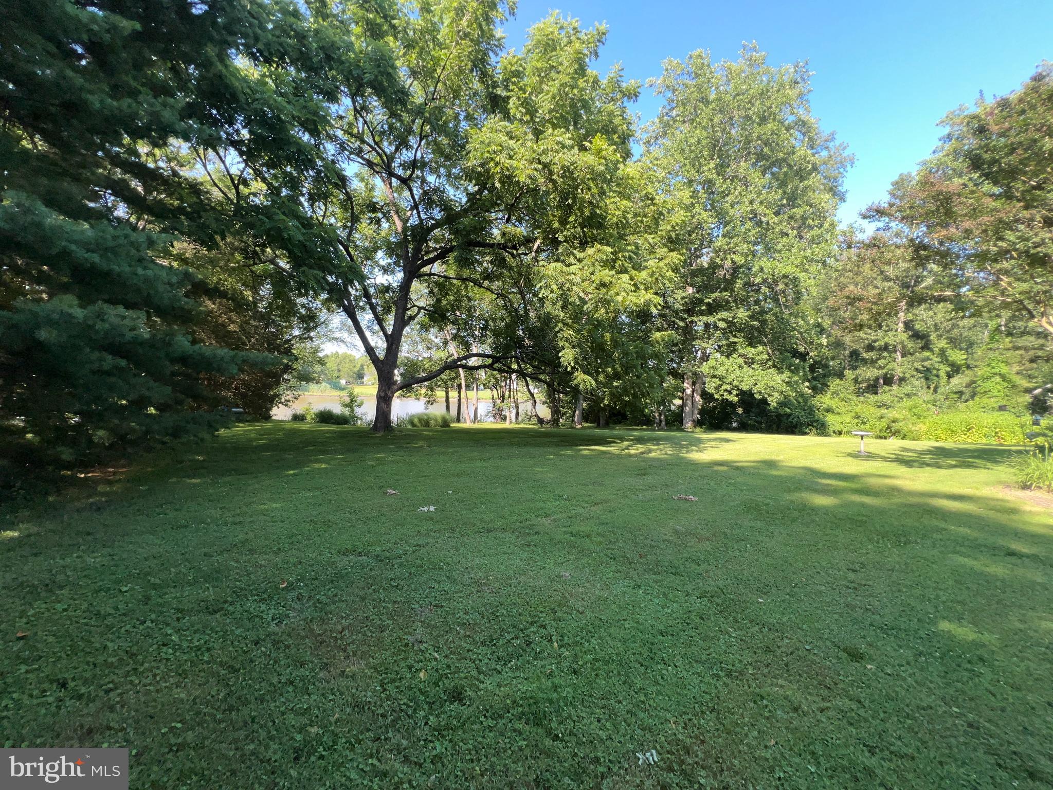 28701 Edgemere Road Easton, MD 21601 - Photo 35 of 39 a view of green field with trees in the background
