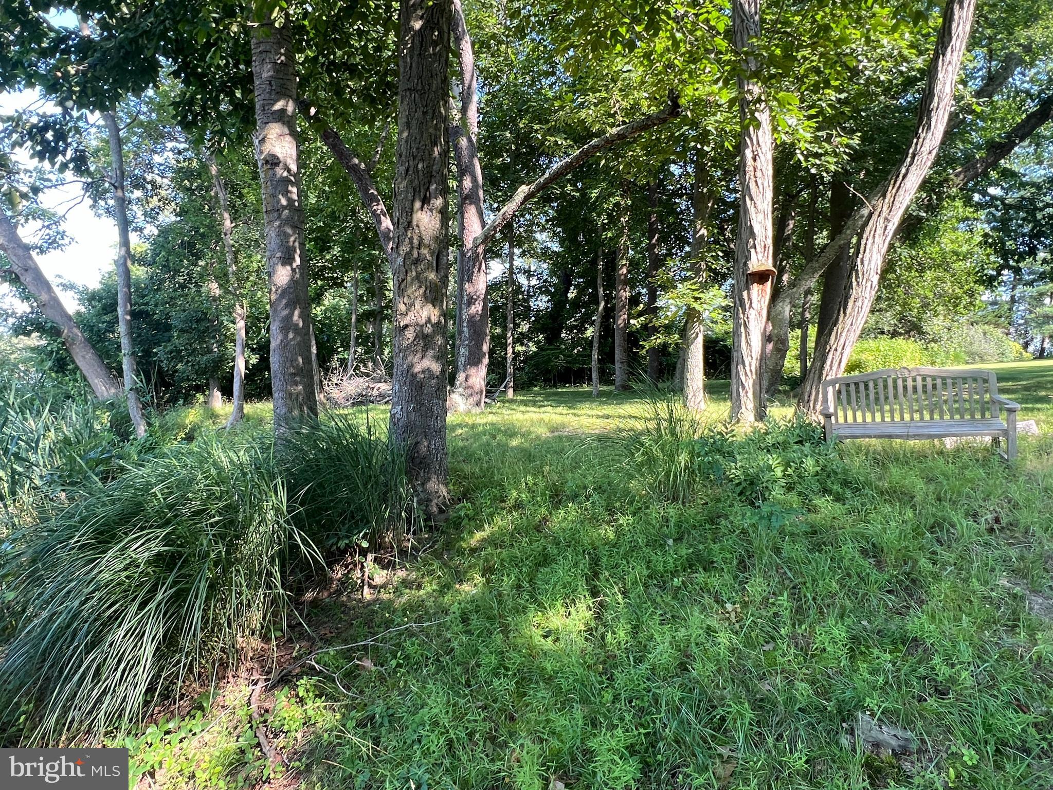 28701 Edgemere Road Easton, MD 21601 - Photo 36 of 39 a view of backyard with green space