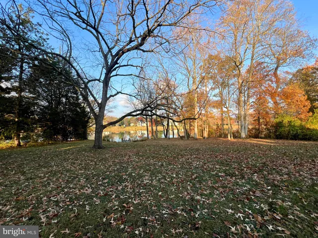 a view of dirt yard with a large tree