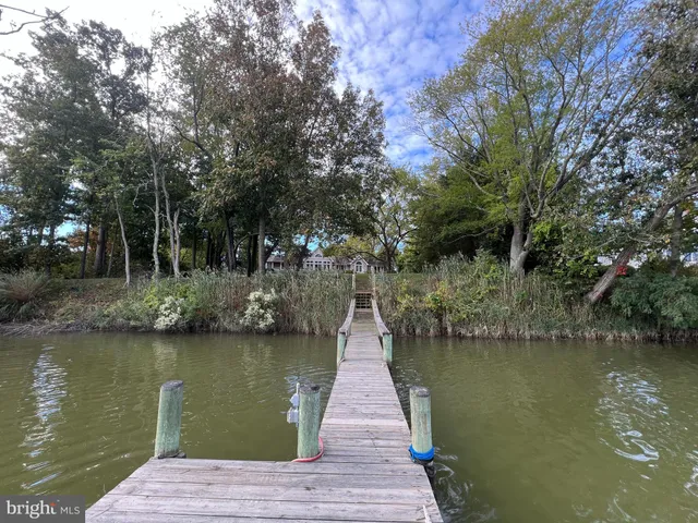 a view of a lake with a large trees