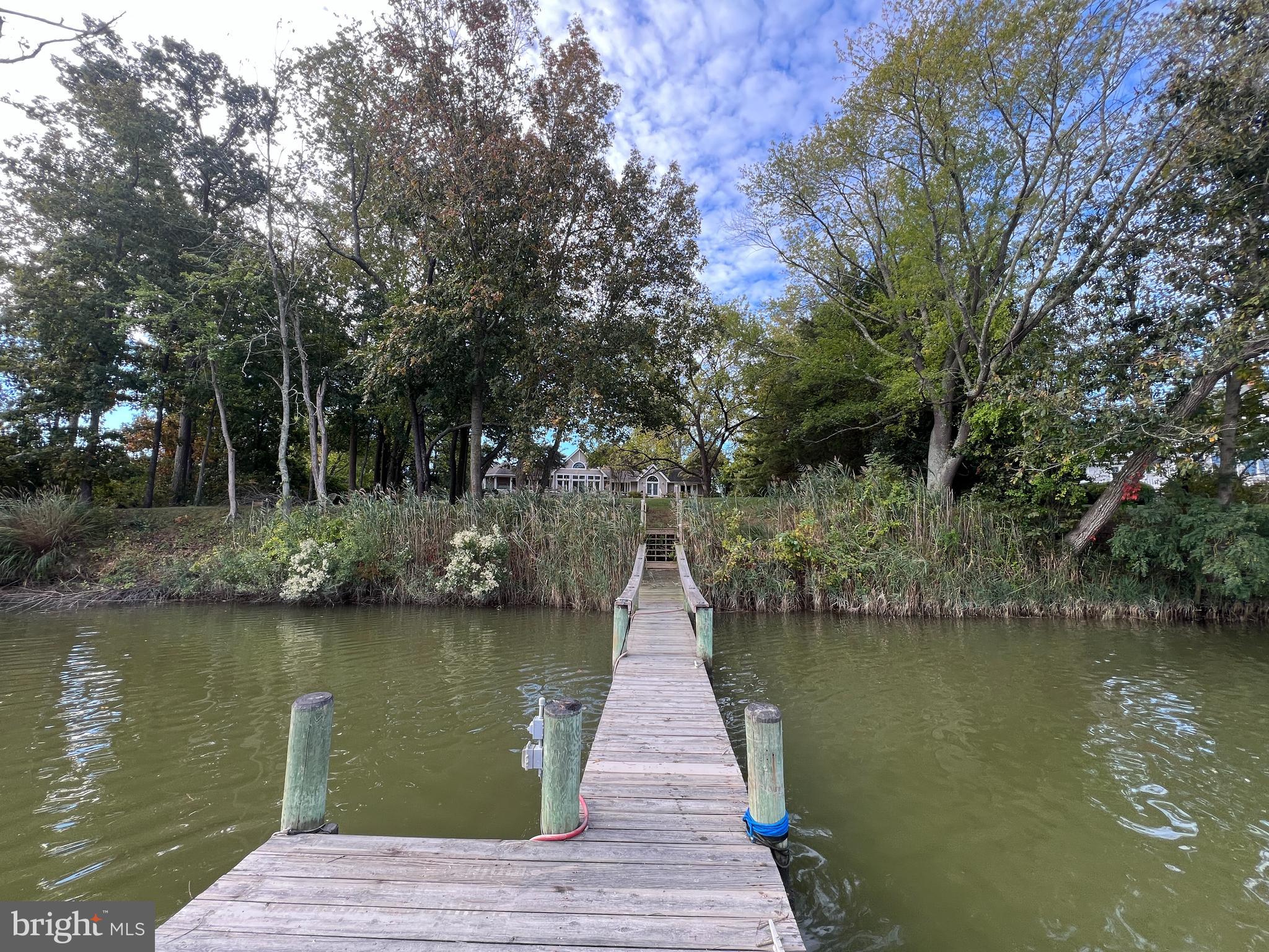 28701 Edgemere Road Easton, MD 21601 - Photo 38 of 39 a view of a lake with a large trees