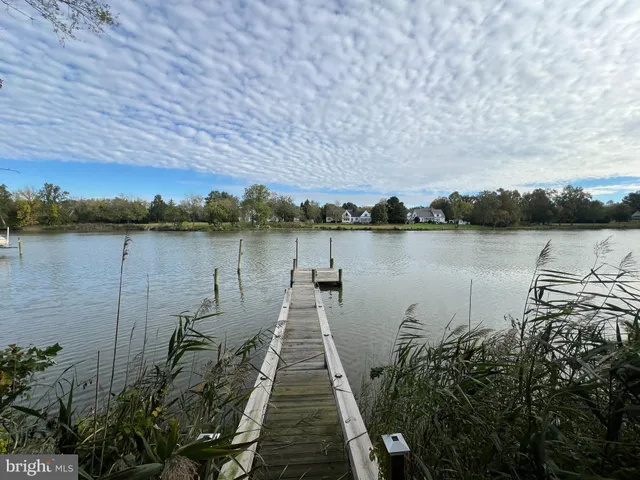 a view of a lake with a mountain in the background