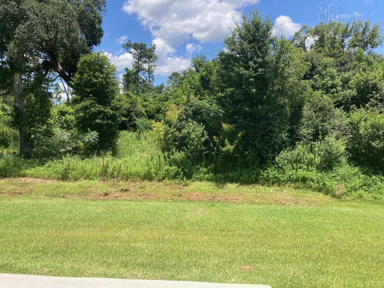 696 Mayflower Drive Foley, AL 36535 - Photo 24 of 25 Yard