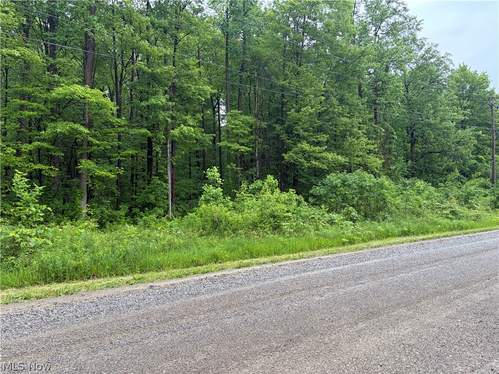 0 South Ridge Road West Conneaut, OH 44030 - Photo 4 of 5 Road view of the east