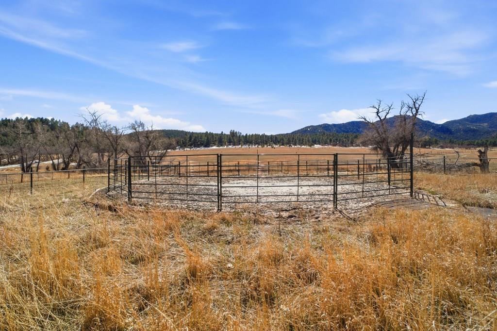 3951 Northcreek Road Beulah, CO 81023 - Photo 38 of 65