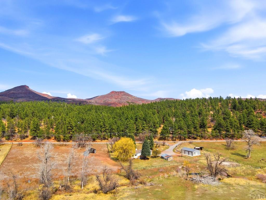 3951 Northcreek Road Beulah, CO 81023 - Photo 58 of 65