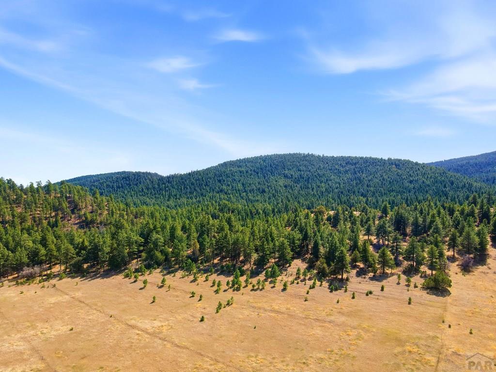 3951 Northcreek Road Beulah, CO 81023 - Photo 59 of 65