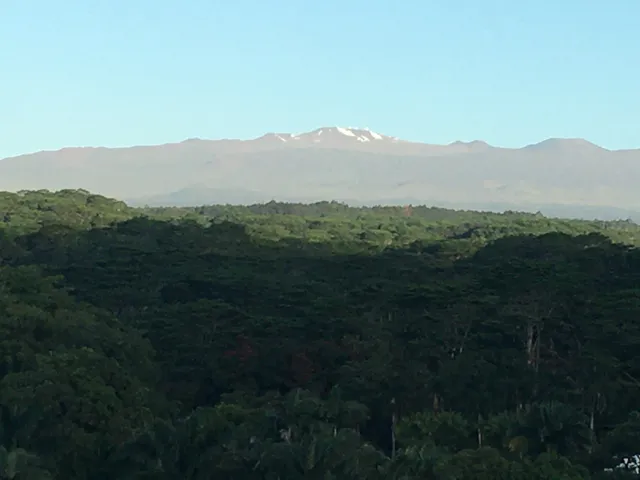 a view of a mountain range with lush green forest